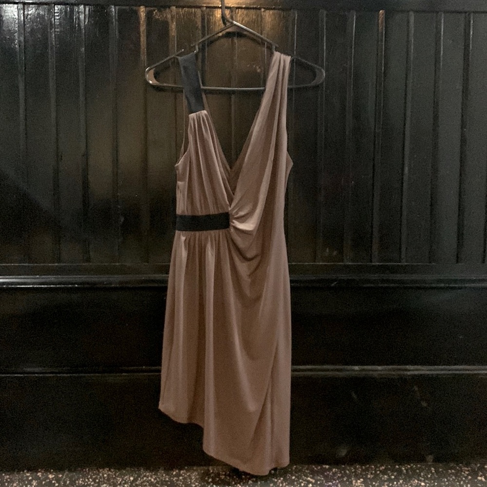 EXPRESS Dress Brown Shimmer Fitted A-line Mini Dress